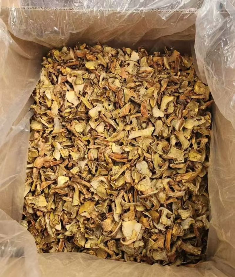 人工见手青黄牛肝菌通货切片烘干干片干品