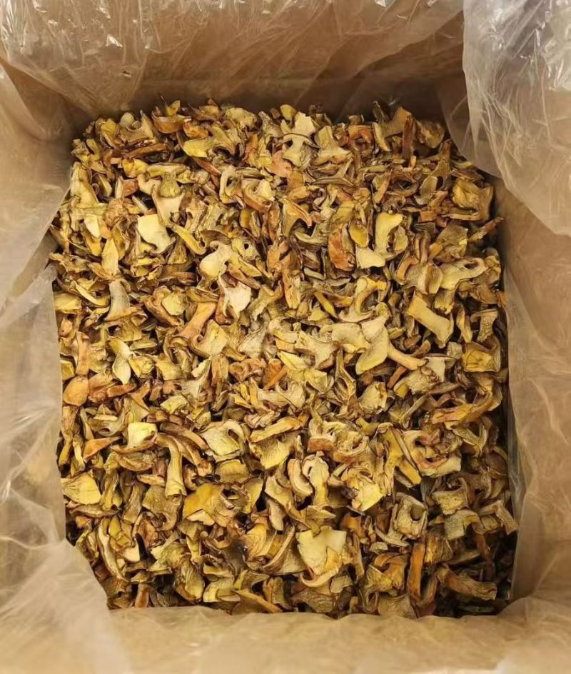 人工见手青黄牛肝菌通货切片烘干干片干品