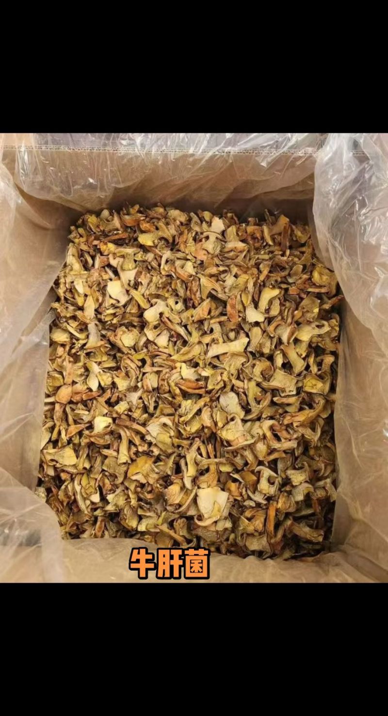 人工见手青黄牛肝菌通货切片烘干干片干品