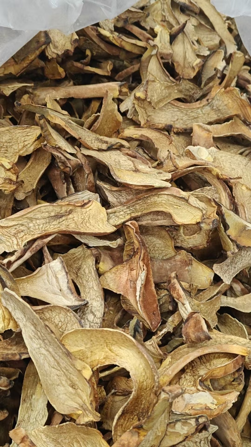 人工见手青黄牛肝菌通货切片烘干干片干品