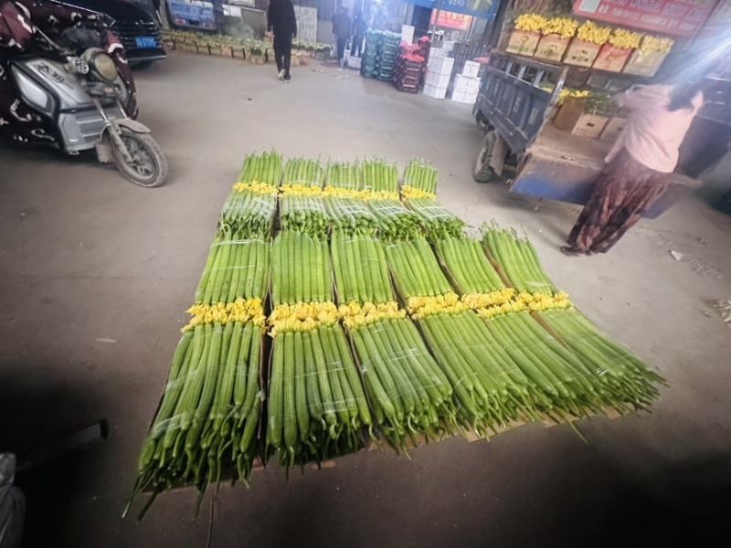 鲜花丝瓜