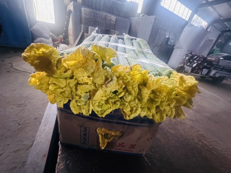 鲜花丝瓜
