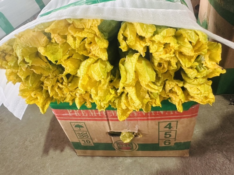 鲜花丝瓜
