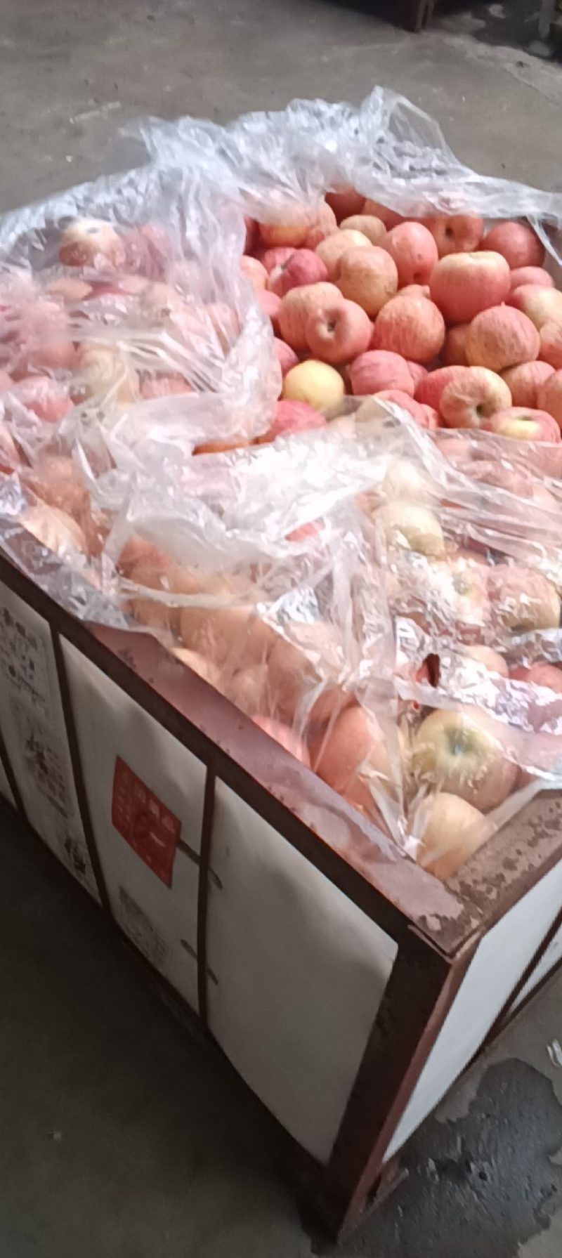 正宗精品红富士苹果(条红苹果，片红苹果)全国发货量大从优