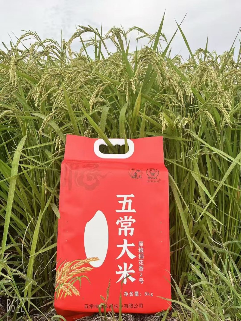 【礼品装】五常大米，正宗稻花香大米，一件代发批发保质保量
