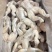 牛蛙肉7元一斤