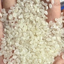 东北珍珠米50公斤白包量小大单勿扰