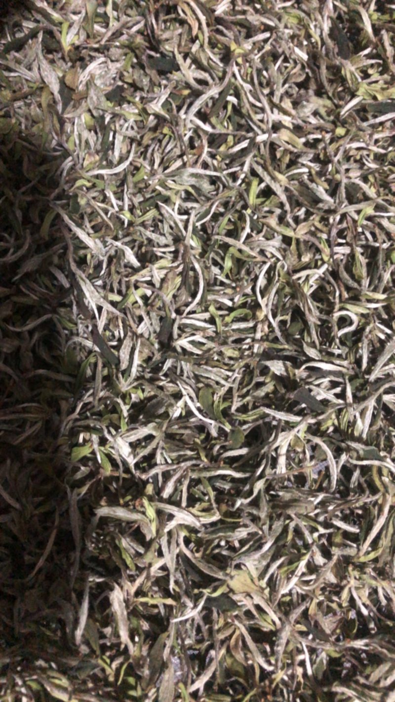样品