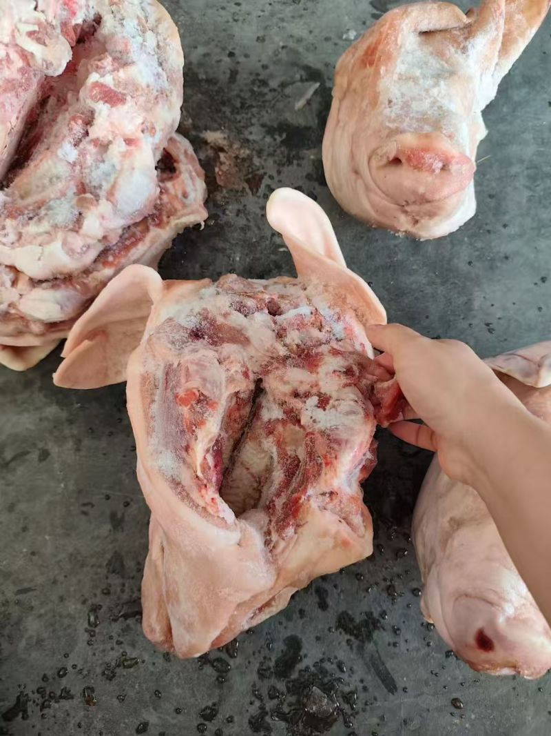 肥猪带耳