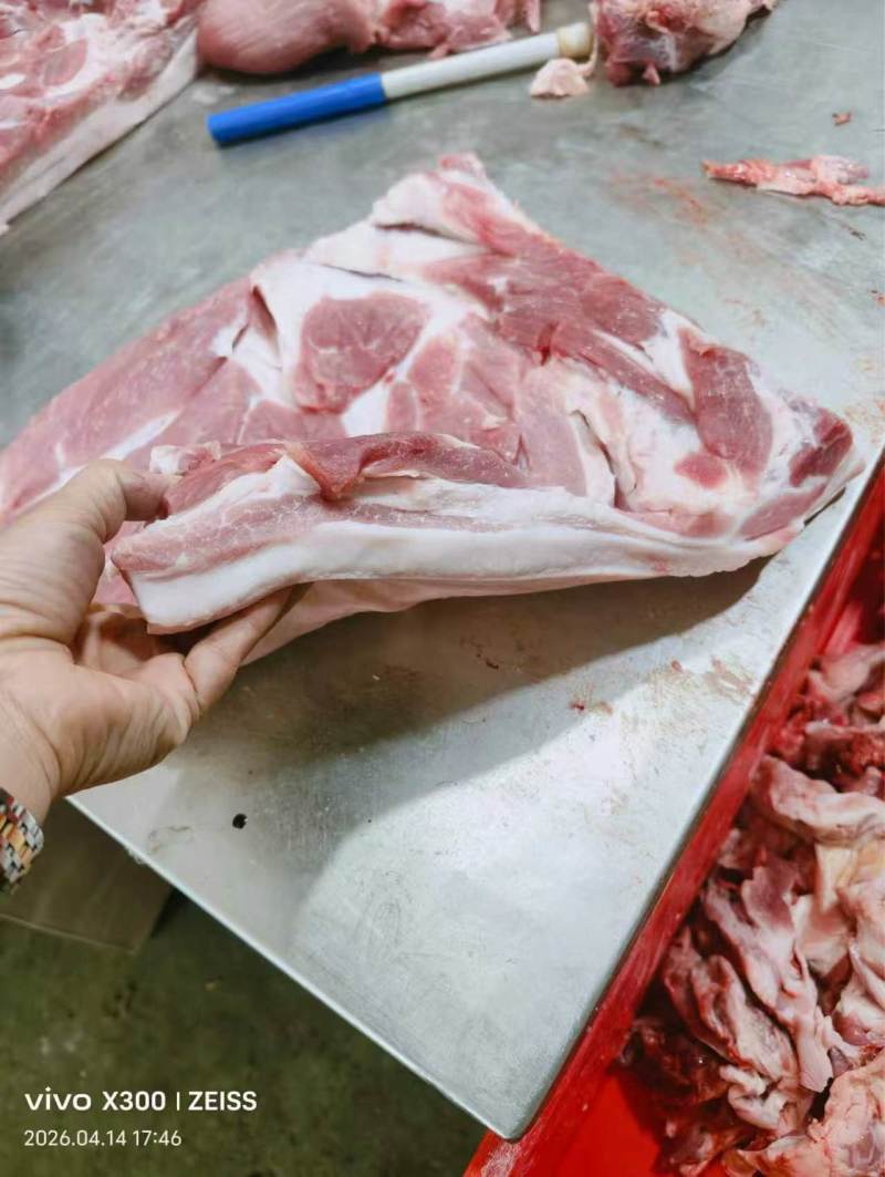肥猪精修前上肉