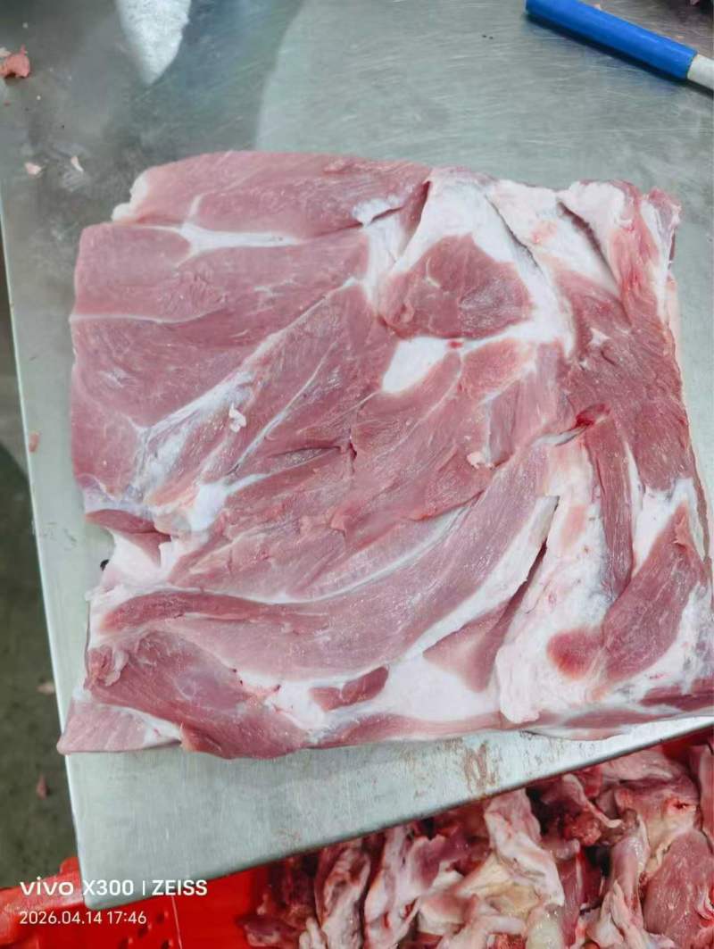 肥猪精修前上肉