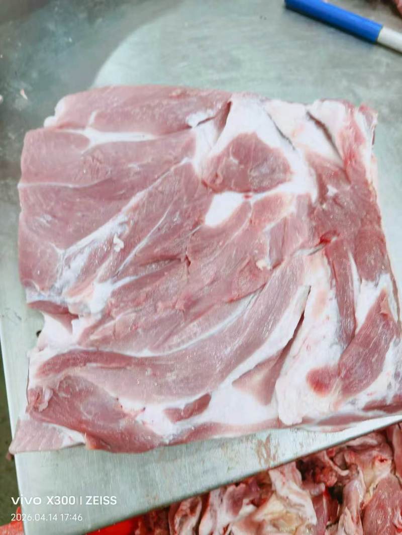 肥猪精修前上肉