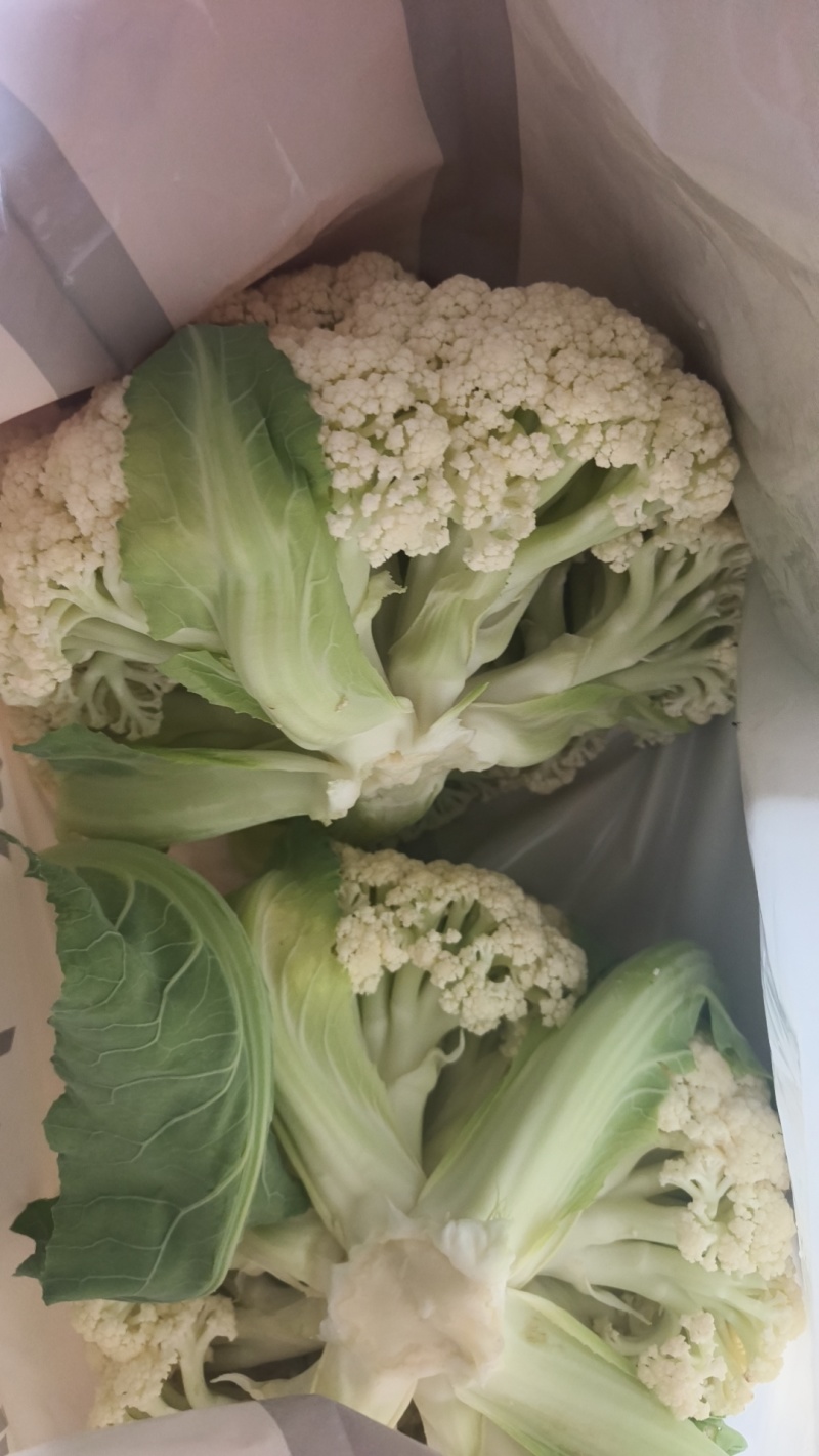 农家露天花菜