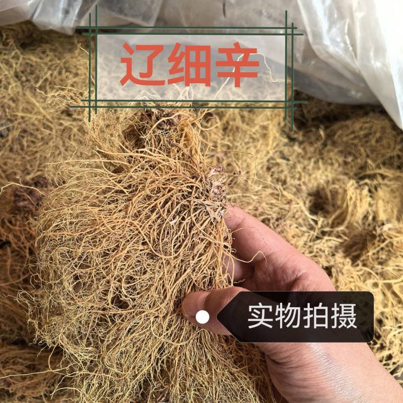 辽细辛正品精选辽细辛中药材头茬新货干净无杂质