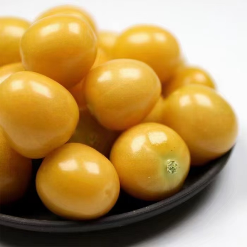 东北甜姑茑果新鲜灯笼果黄姑娘果大量供应品质优可视频看货