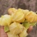 东北甜姑茑果新鲜灯笼果黄姑娘果大量供应品质优可视频看货