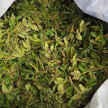 花椒芽，电商、食品厂一手货源，欢迎合作