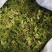 花椒芽，电商、食品厂一手货源，欢迎合作