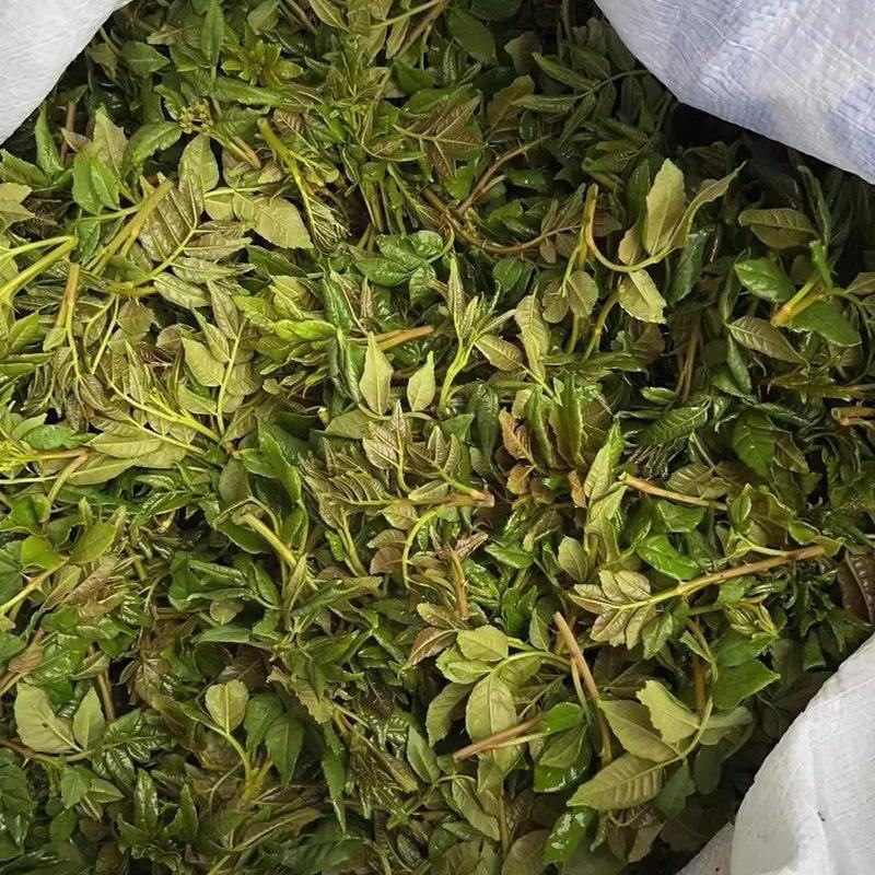 花椒芽，电商、食品厂一手货源，欢迎合作