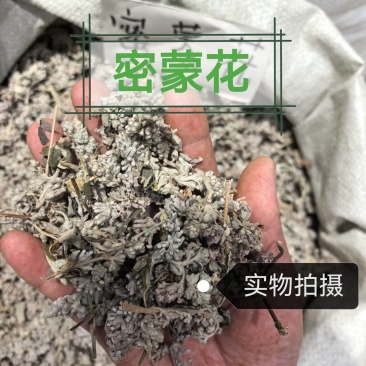 密蒙花中药材正品密蒙花自然晾晒无硫无霉正品