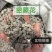 密蒙花中药材正品密蒙花自然晾晒无硫无霉正品