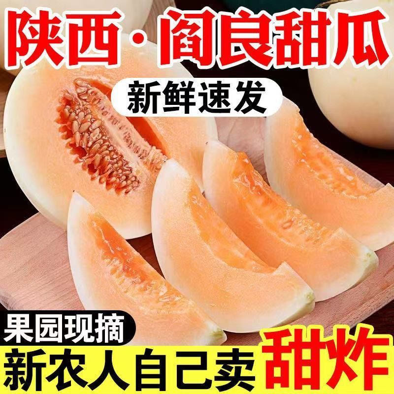 头茬现摘【白皮红肉】正宗陕西阎良红肉甜瓜香瓜蜜瓜新鲜水果