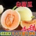 头茬现摘【白皮红肉】正宗陕西阎良红肉甜瓜香瓜蜜瓜新鲜水果