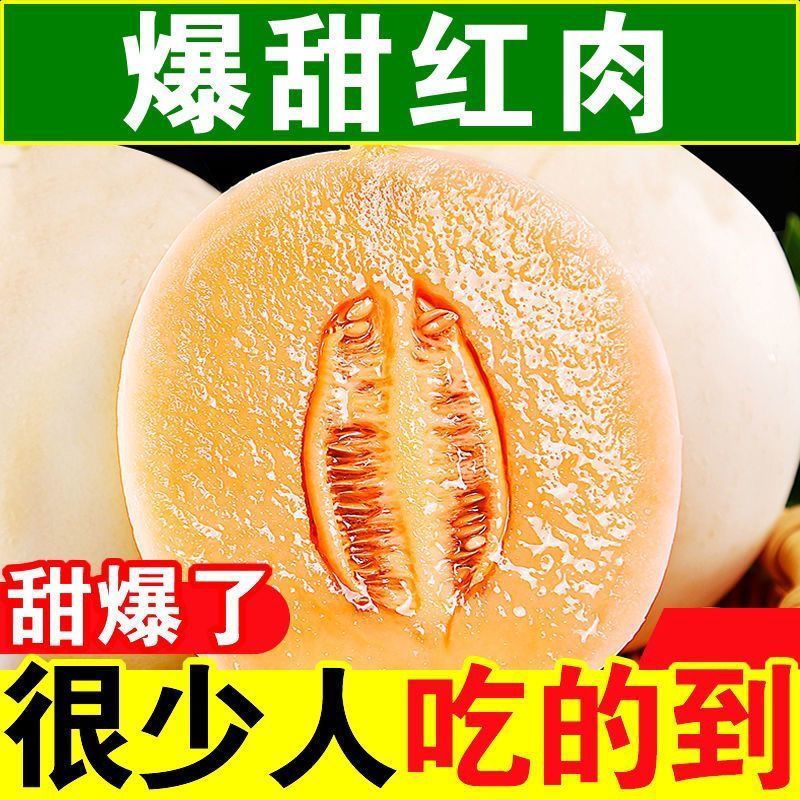 头茬现摘【白皮红肉】正宗陕西阎良红肉甜瓜香瓜蜜瓜新鲜水果