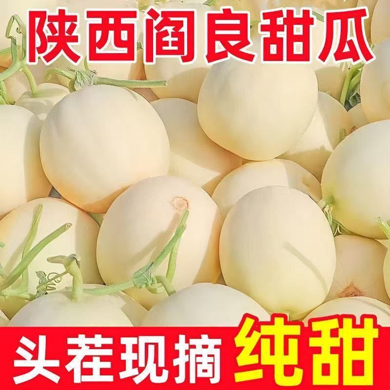 头茬现摘【白皮红肉】正宗陕西阎良红肉甜瓜香瓜蜜瓜新鲜水果