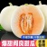 头茬现摘【白皮红肉】正宗陕西阎良红肉甜瓜香瓜蜜瓜新鲜水果