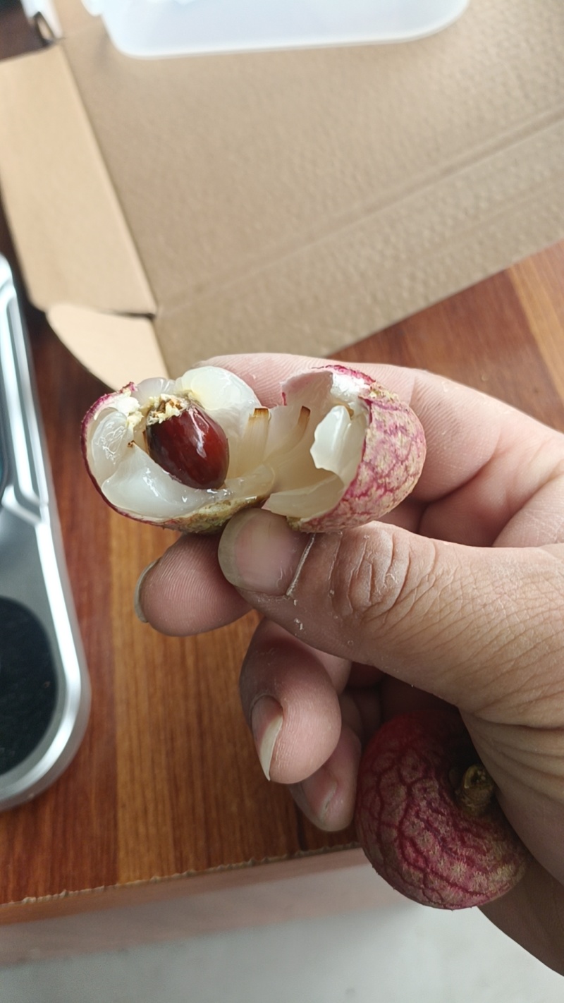 广东电白荔枝，科技一号产地一手货源价格实惠欢迎联系