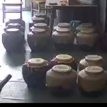 自酿各种纯粮酒，五粮酒，窖藏酒50度53度56度60度