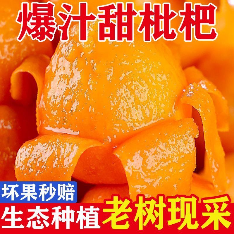 云南新鲜采摘枇杷包甜