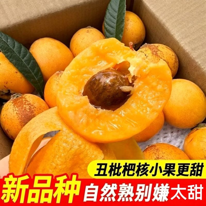云南新鲜采摘枇杷包甜