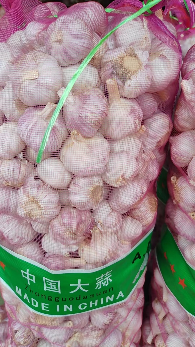 新大蒜大蒜紫皮大蒜精修去杆
