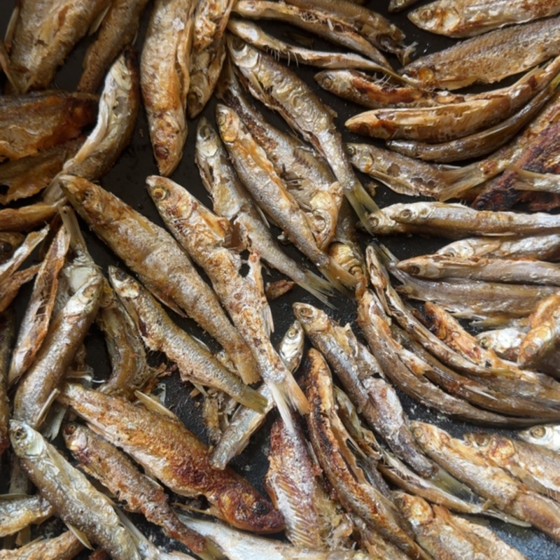 纯野生白条鱼、冲击你的味蕾、无法相信的美味！质量保证！