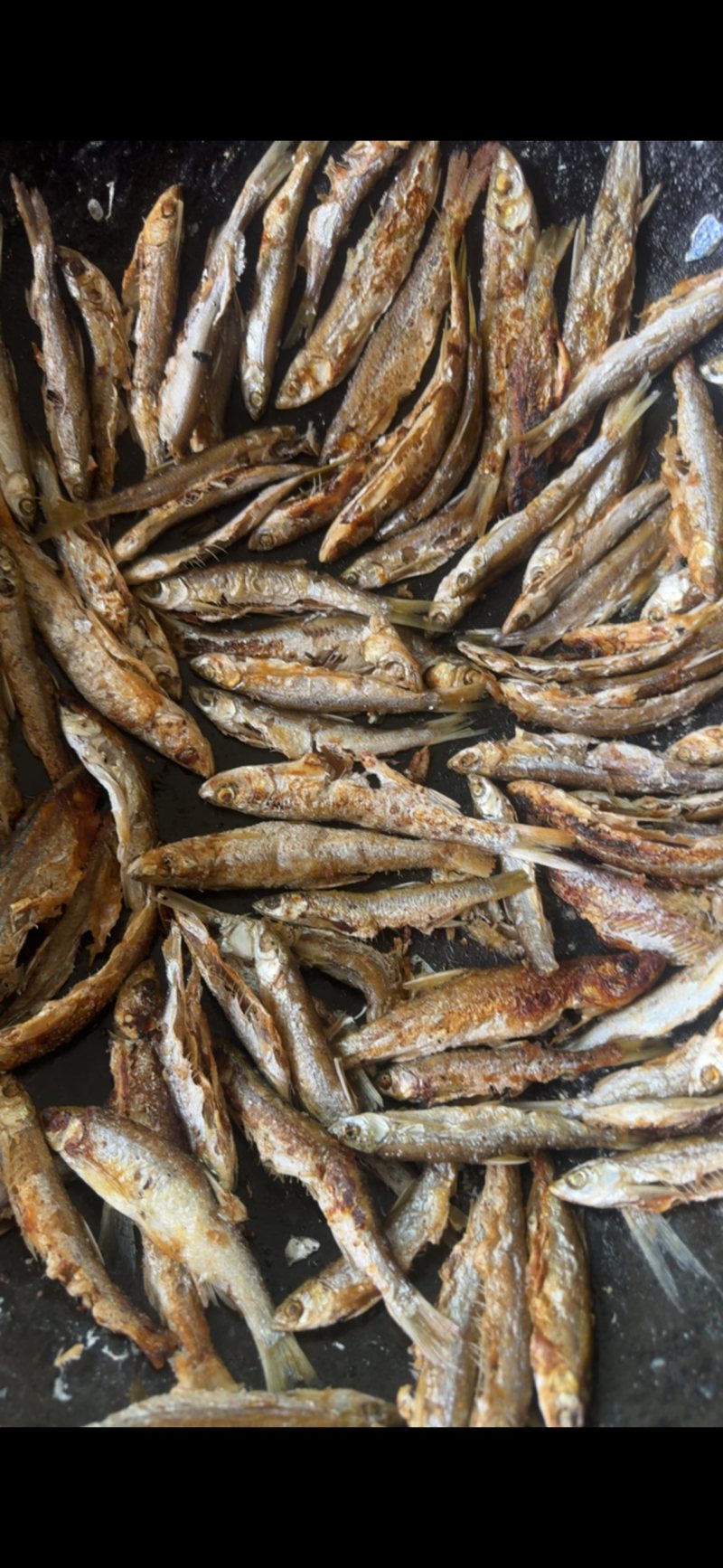 纯野生白条鱼、冲击你的味蕾、无法相信的美味！质量保证！