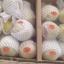 库尔勒正宗香梨，低价处理。十斤装，量大从优！