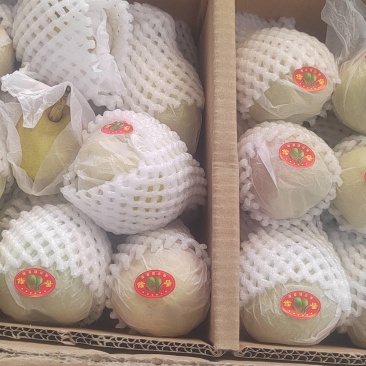 库尔勒正宗香梨，低价处理。十斤装，量大从优！