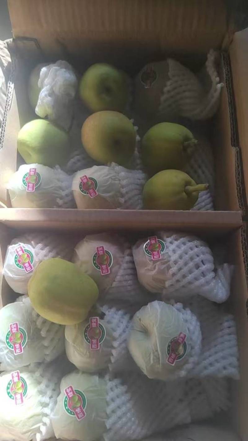 库尔勒正宗香梨，低价处理。十斤装，量大从优！
