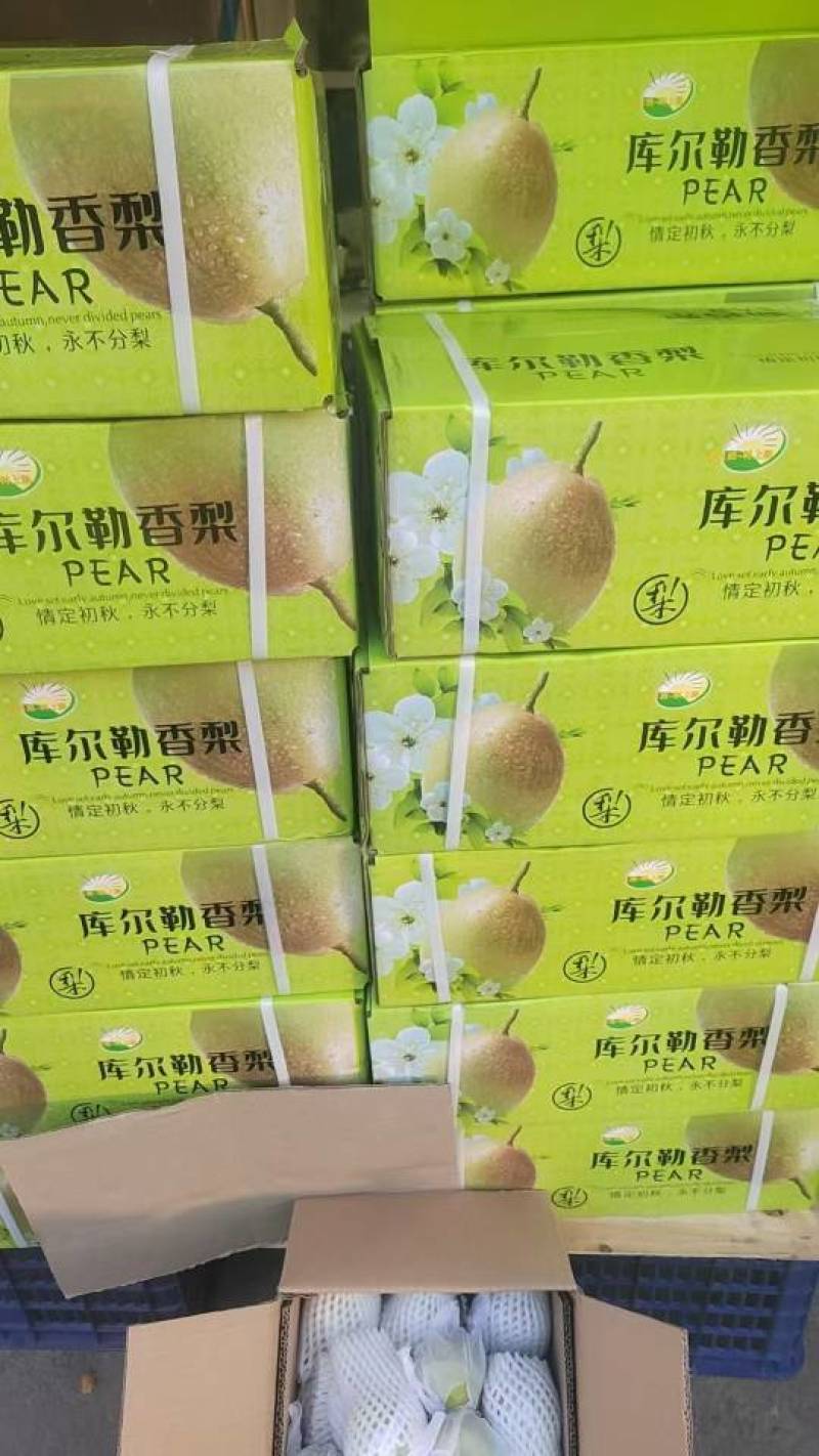 库尔勒正宗香梨，低价处理。十斤装，量大从优！