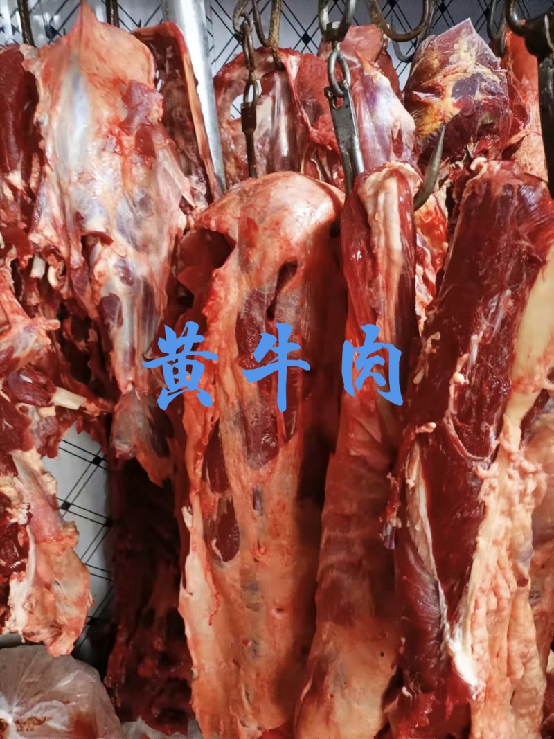 【牛肉】当地黄牛肉鲜冻！牛腿肉牛前牛后，屠宰场直销！
