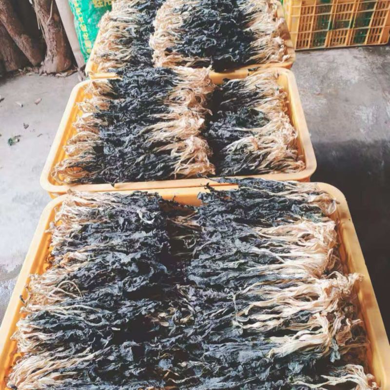 现拍广东英德白菜干人工晒干，质量非常好，供应饭堂学校等等
