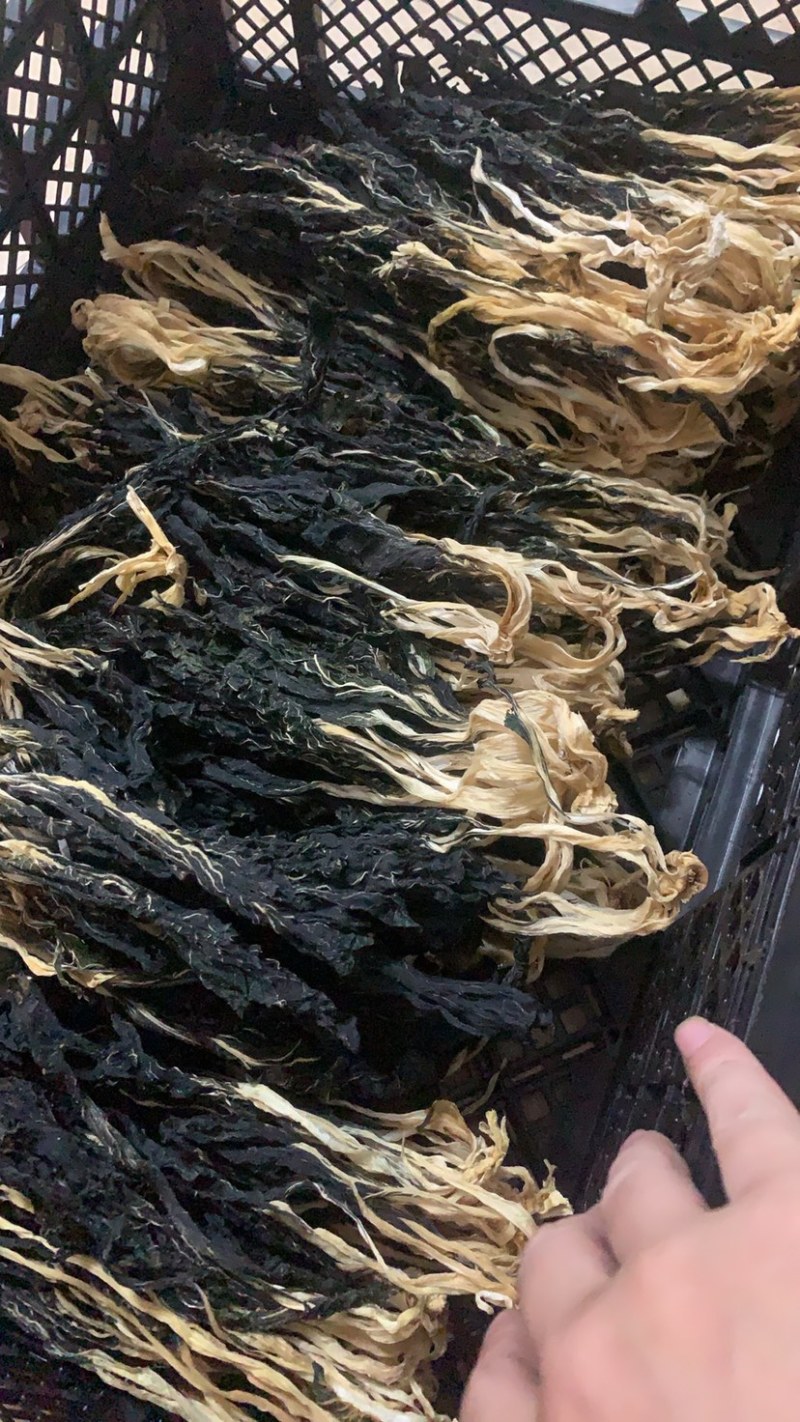 现拍广东英德白菜干人工晒干，质量非常好，供应饭堂学校等等