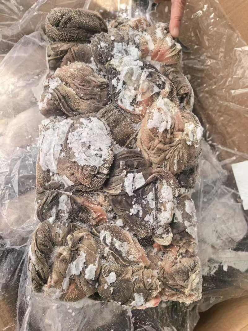 【羊百叶】当地羊百叶！涮锅爆炒凉拌炖煮，口感爽脆味道鲜美