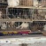 田园犬狗崽基地直发品质保证量大从优欢迎来电