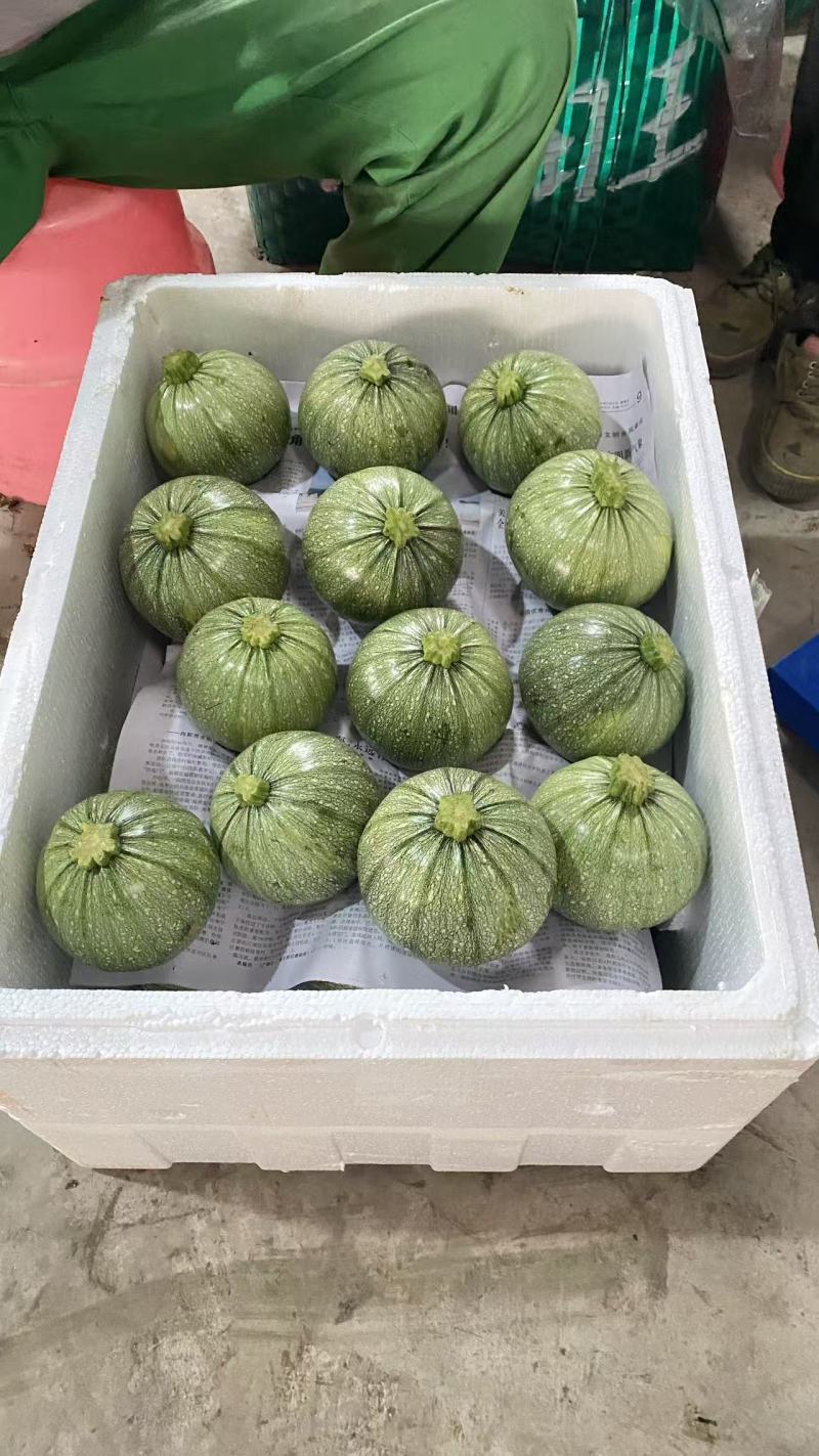 小南瓜/广西/源头农场基地/电商直供/产地