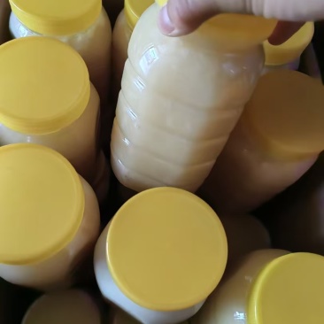 农家养的土蜂蜜一手货源全国发货量大价优欢迎随时联系