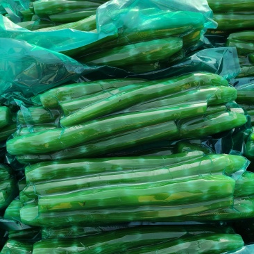 精品去皮莴笋肉工厂直发通货食堂货大量有货