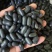 双肾子苦石莲中药材阴阳果货源基地可代打粉大量现货大颗粒